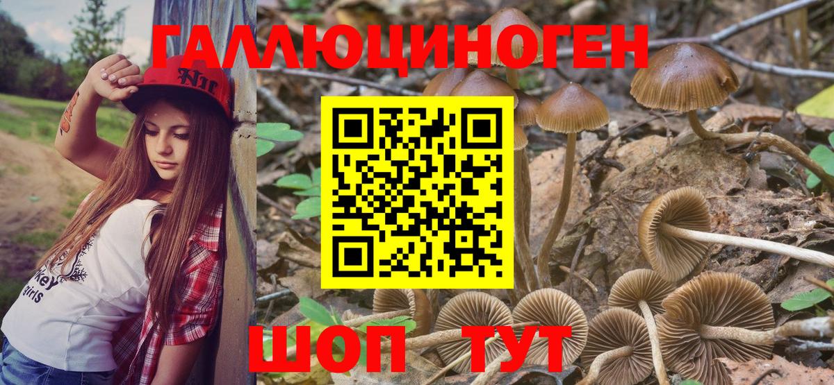 Псилоцибиновые грибы ЛСД Лесозаводск